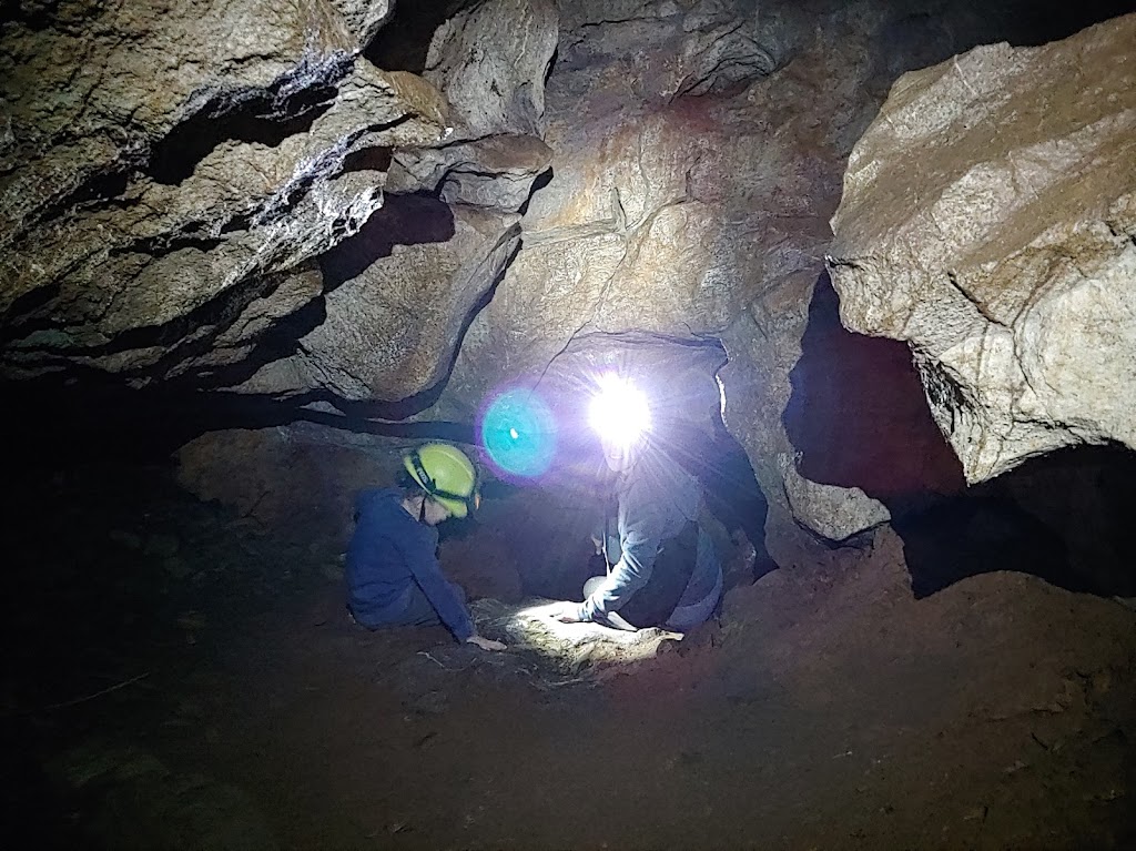 Horne Lake Caves | 3905 Horne Lake Caves Rd, Qualicum Beach, BC V9K 2L7, Canada | Phone: (250) 248-7829