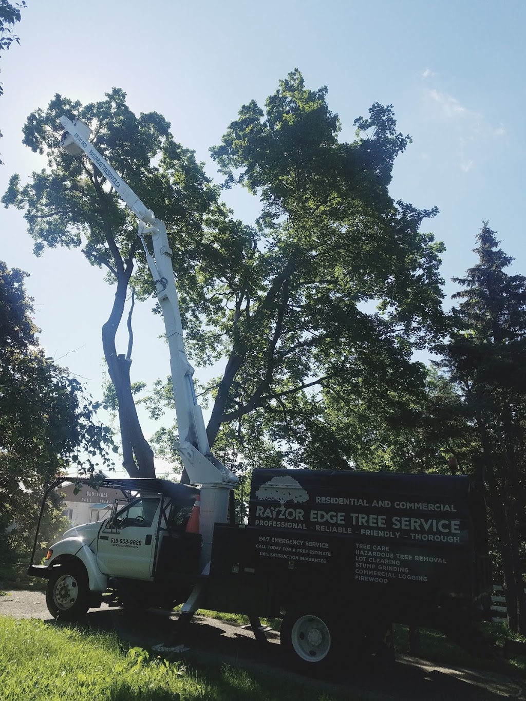 Rayzor Edge Tree Service | 1693 Durst Rd, St. Jacobs, ON N0B 2N0, Canada | Phone: (519) 503-9829