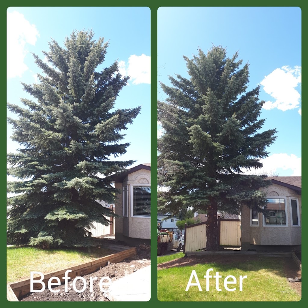 Robinson Lawn & Tree Maintenance | 1436 63 St NW, Edmonton, AB T6L 1X7, Canada | Phone: (780) 868-0135