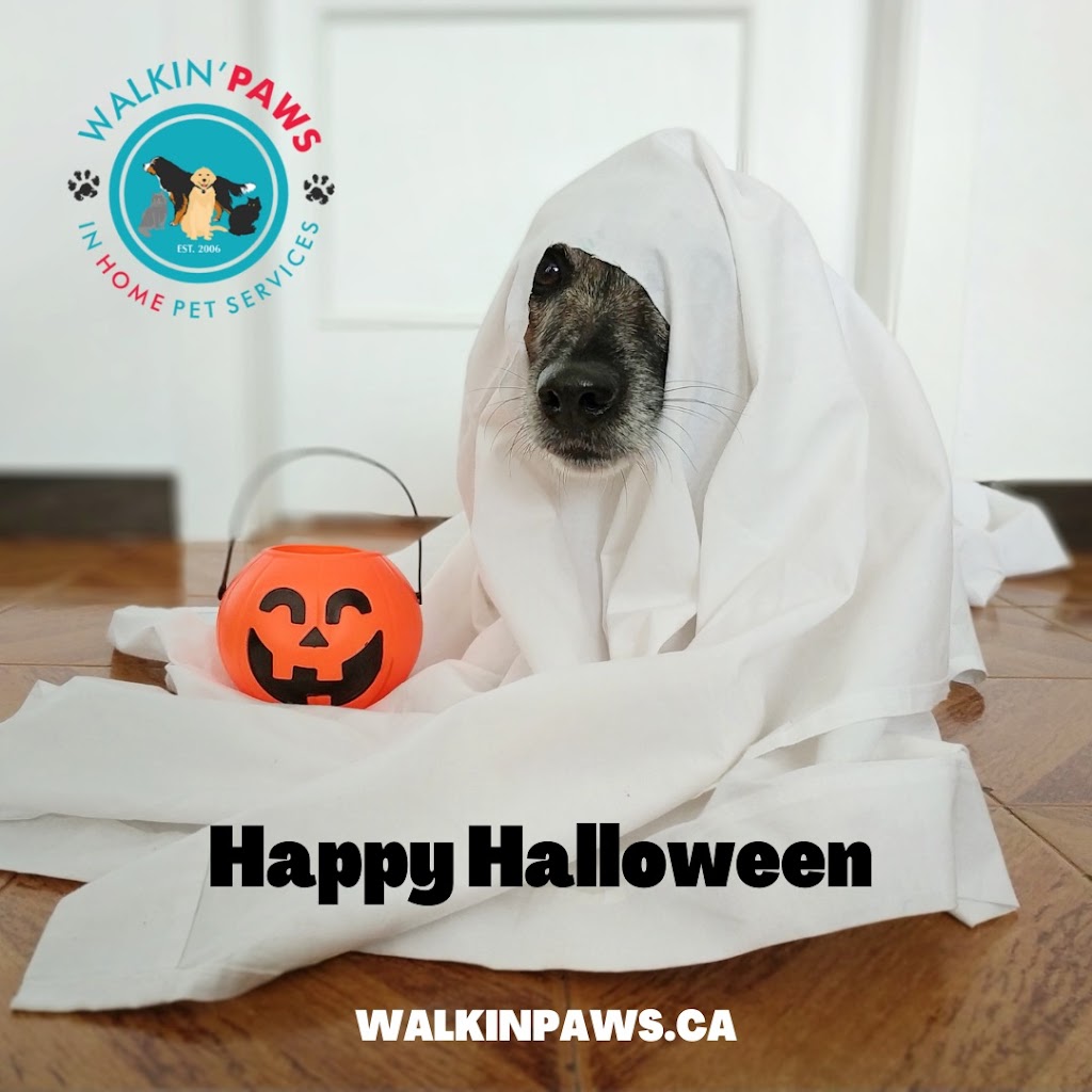 Walkin Paws | 458 Westvale Dr, Waterloo, ON N2T 1T2, Canada | Phone: (519) 589-3808