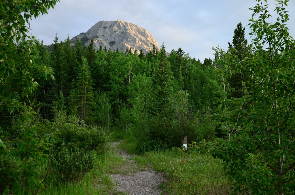 BGI Institute: Barrier Lake Field Station | Kananaskis, AB T0L, Canada | Phone: (403) 220-5355