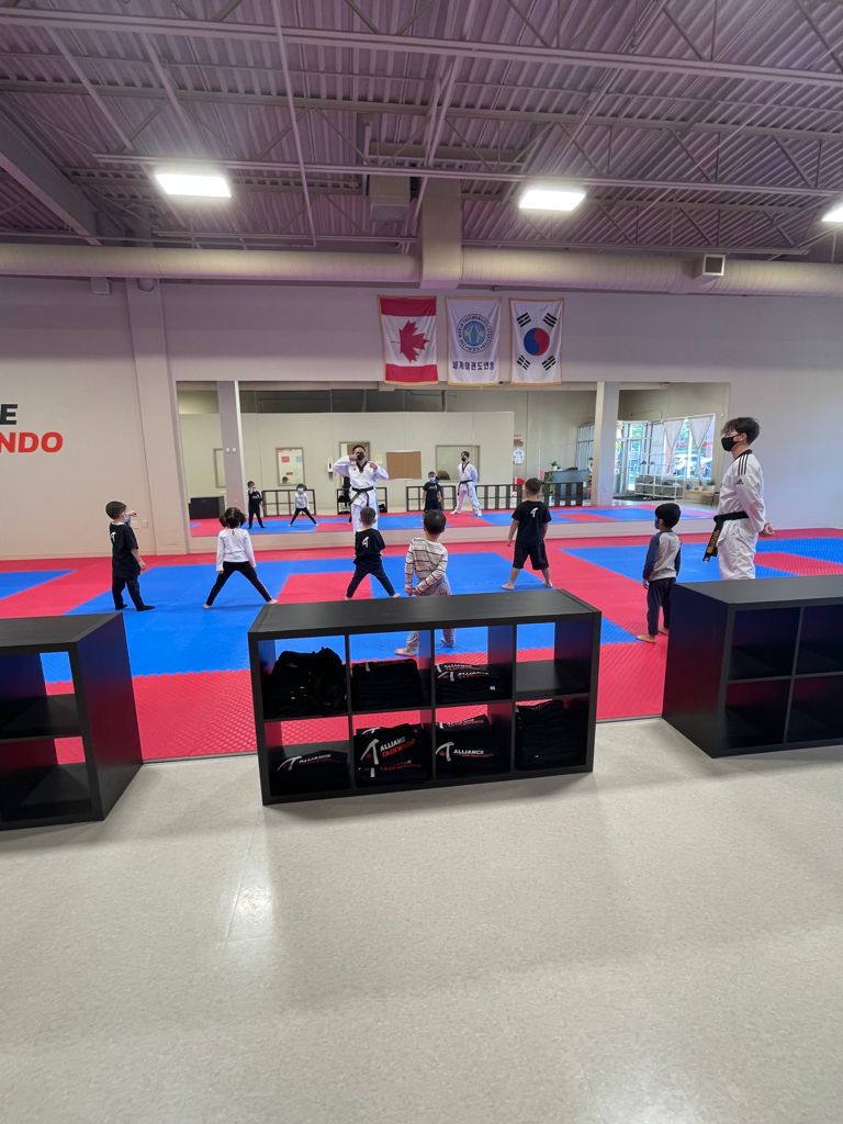 Alliance Taekwondo | 1390 Major Mackenzie Dr E Unit A5 - A6, Richmond Hill, ON L4S 0A1, Canada | Phone: (905) 237-1100