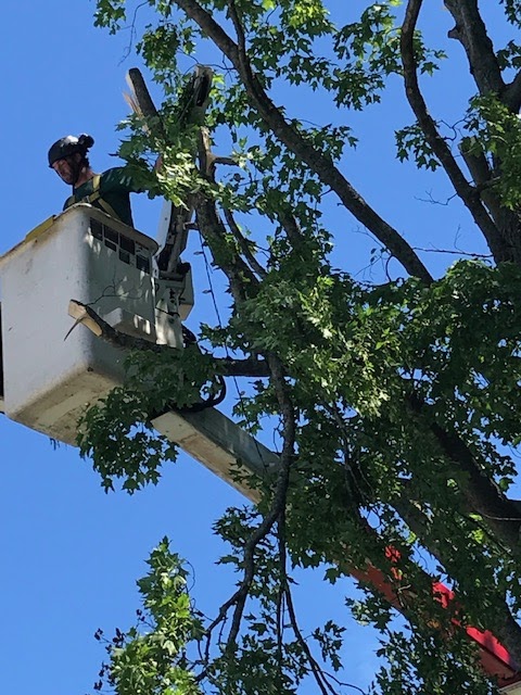 Ken Gilbert Bucket Truck Service | 18905 Nova Scotia Trunk 2, Nappan, NS B0L 1C0, Canada | Phone: (902) 669-0646