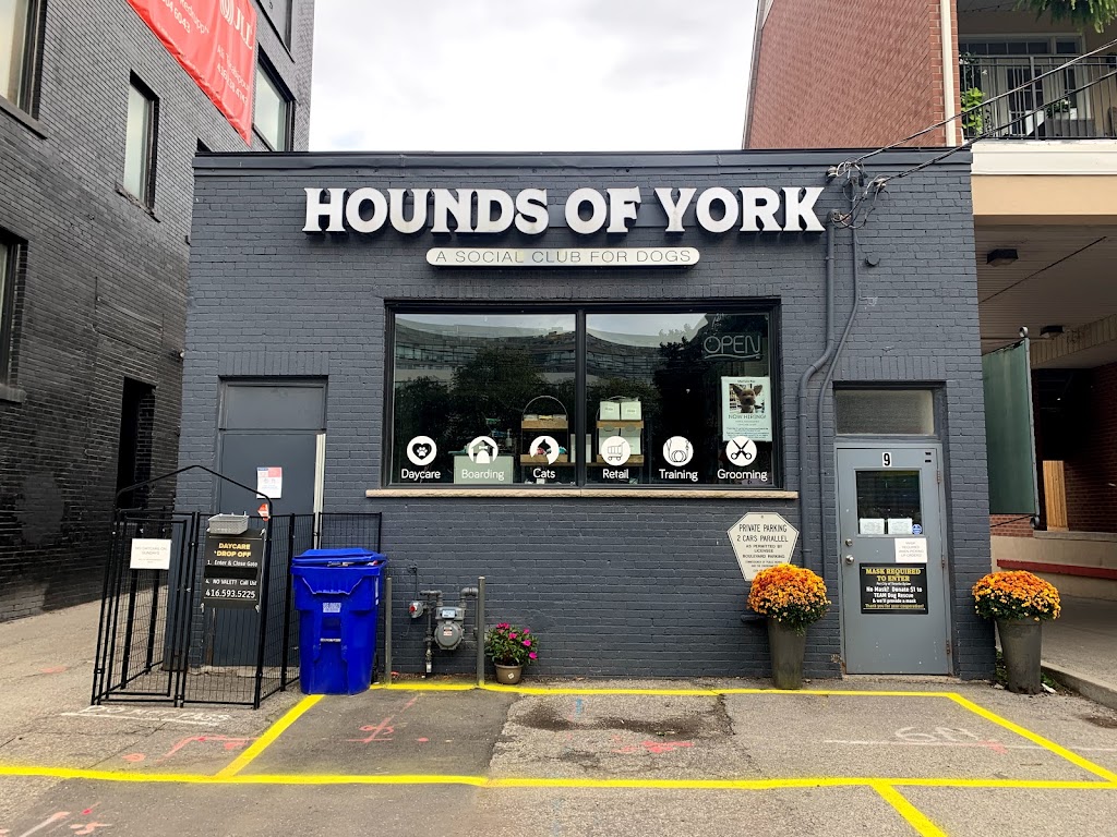 Hounds Of York | 9 Niagara St, Toronto, ON M5V 1C2, Canada | Phone: (416) 593-5225