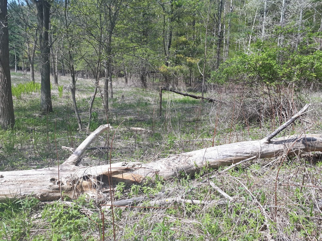 Rouge River Park | Unnamed Road, Scarborough, ON M1B, Canada, Canada