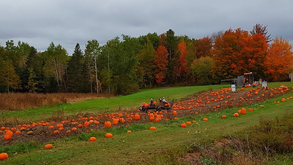 Corkums K & A Pipe & Culvert | 272 Windermere Rd, Berwick, NS B0P 1E0, Canada | Phone: (902) 538-8066