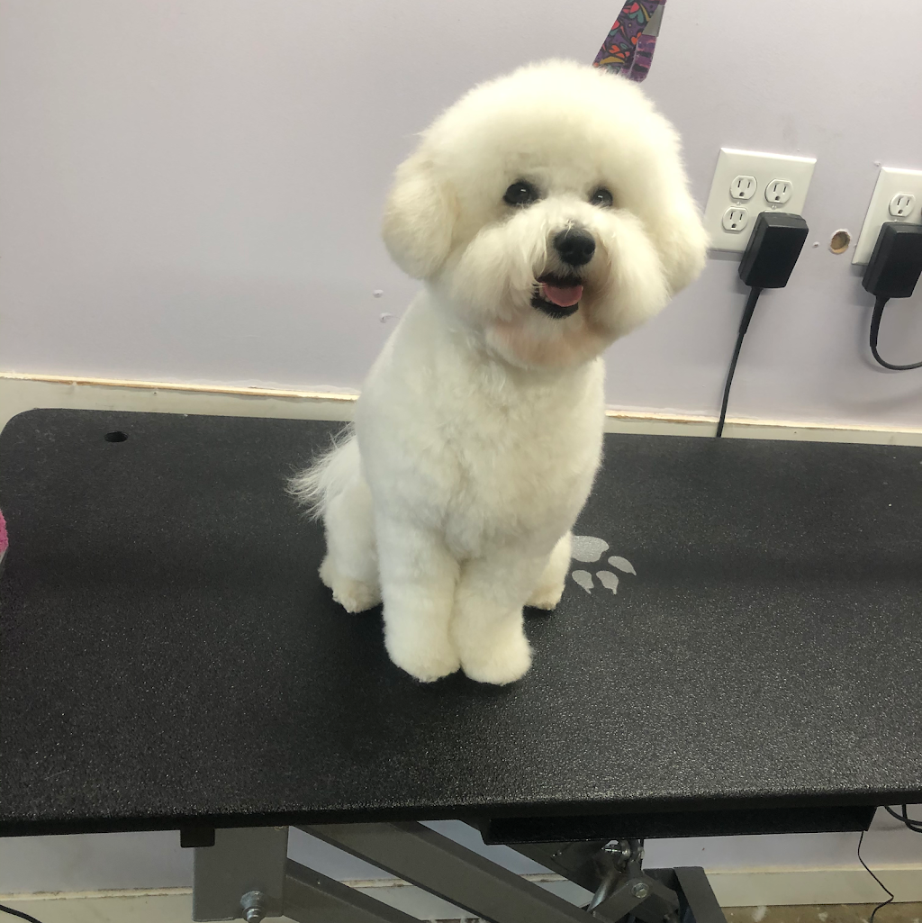 Big Red Dog Grooming | 1016 Keith Rd, Sherwood Park, AB T8A 1G3, Canada | Phone: (780) 819-7894