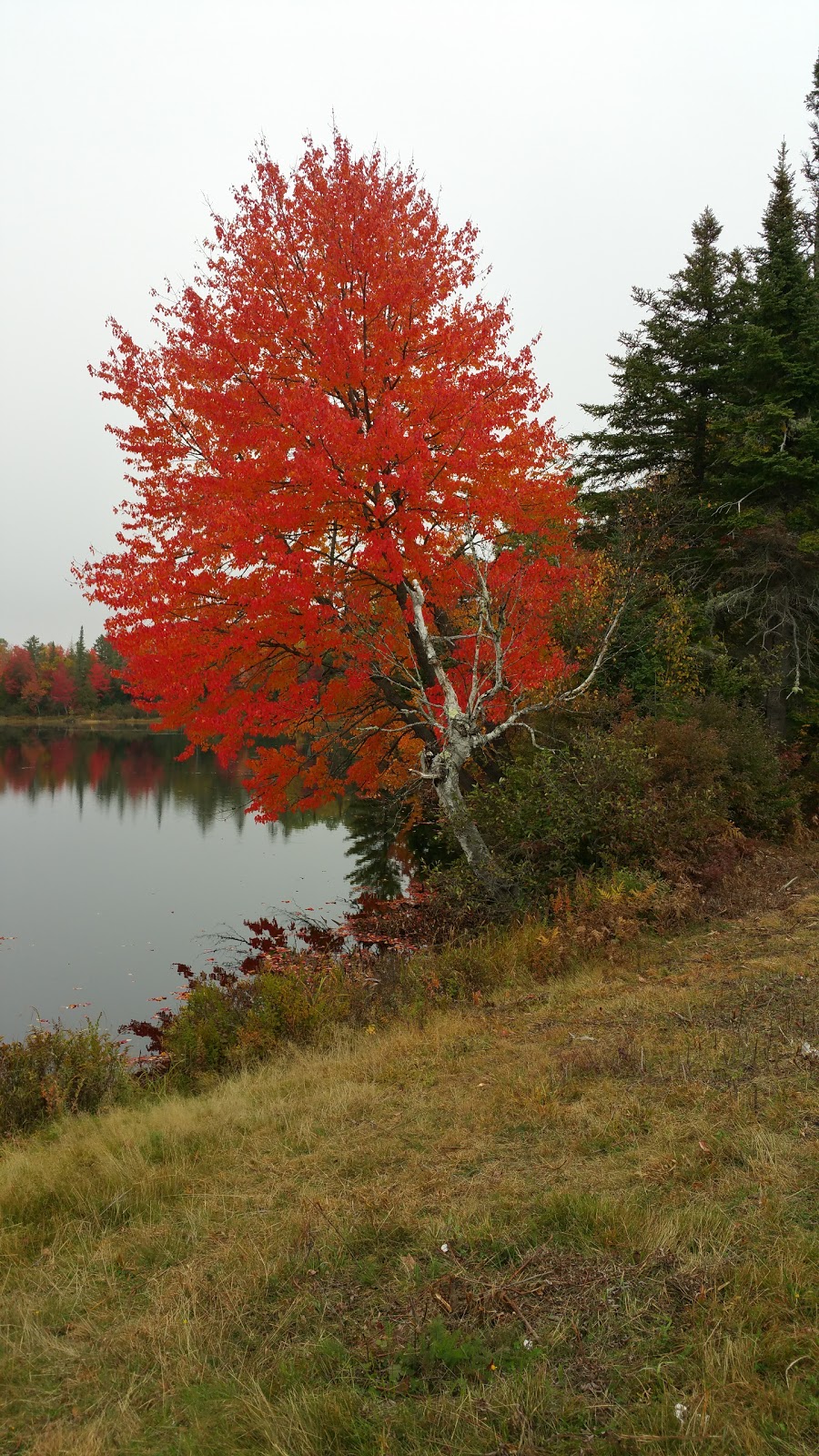 Androscoggin Wayside Park | Route 16, Milan, NH 03588, USA | Phone: (603) 538-6707