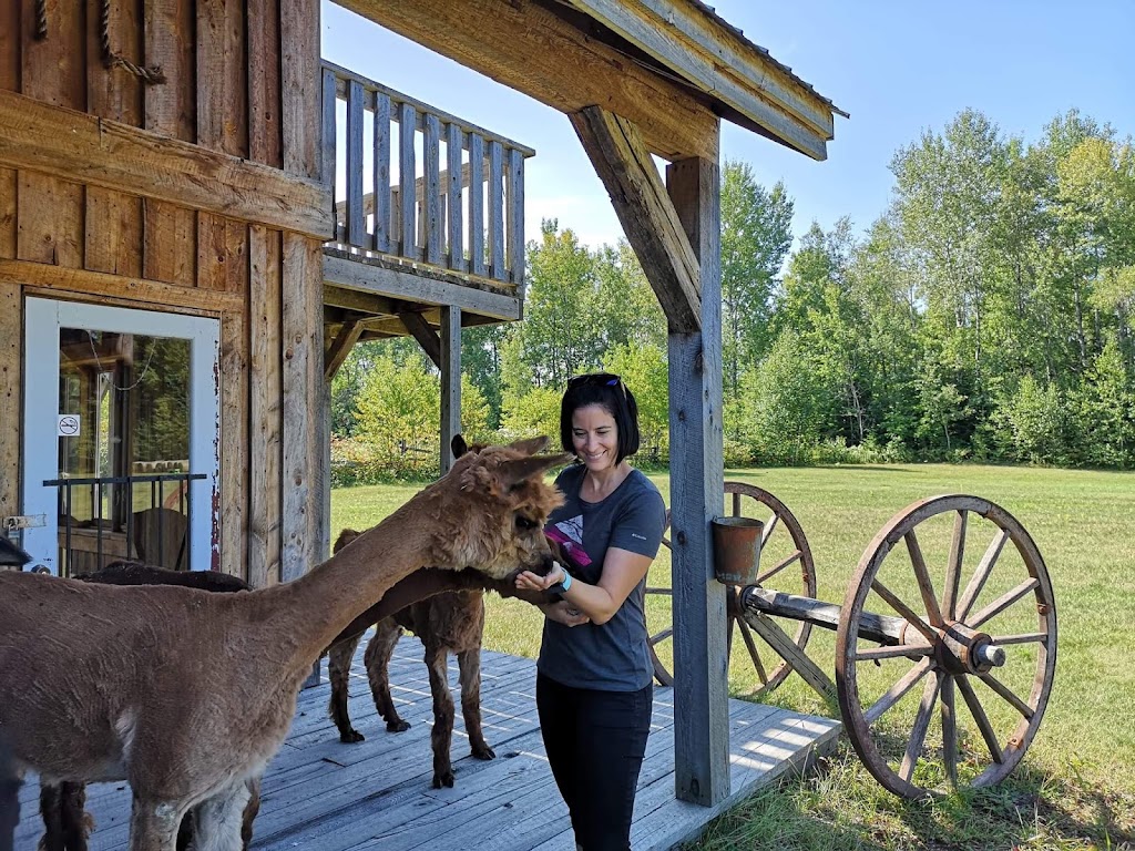 Mini Ferme Du Boisé | 220 Chem. Haut du Lac S, Saint-Tite, QC G0X 3H0, Canada | Phone: (418) 365-2266