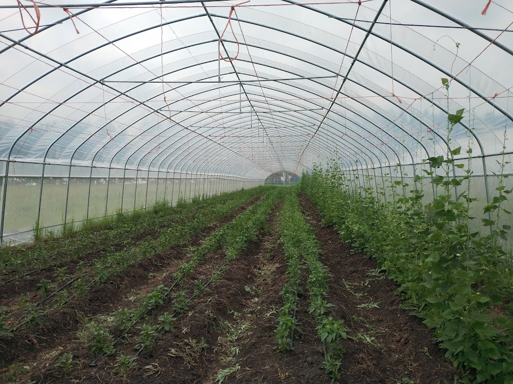 悠鲜美地农场 FreshPal Farm | RR4 Site9 Box12, Olds, AB T4H 1T8, Canada | Phone: (403) 483-4082