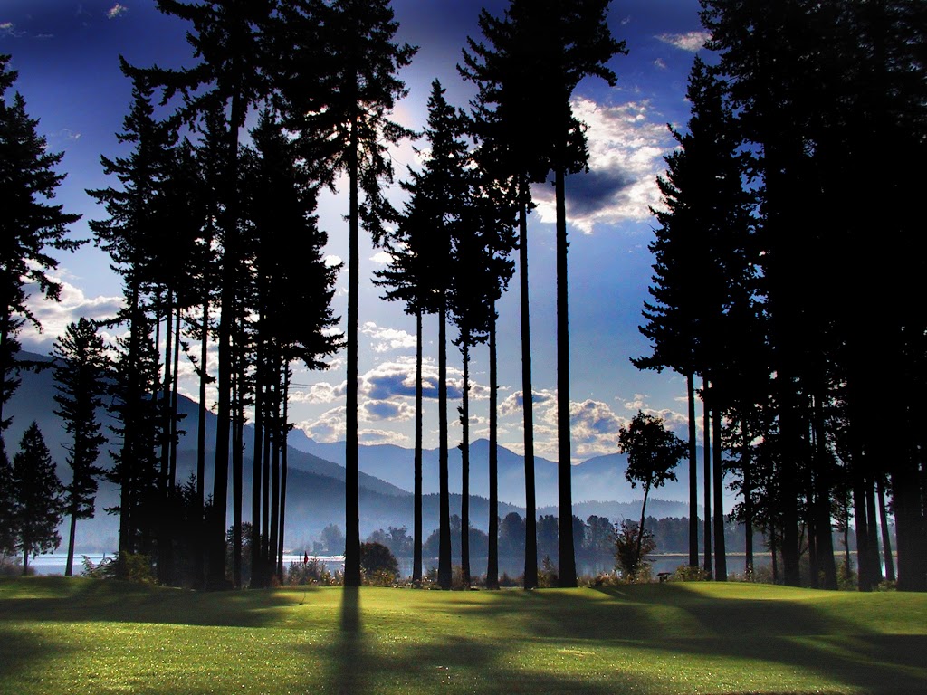 Sandpiper Golf Course | 14282 Morris Valley Rd, Harrison Mills, BC V0M 1L0, Canada | Phone: (604) 796-1000