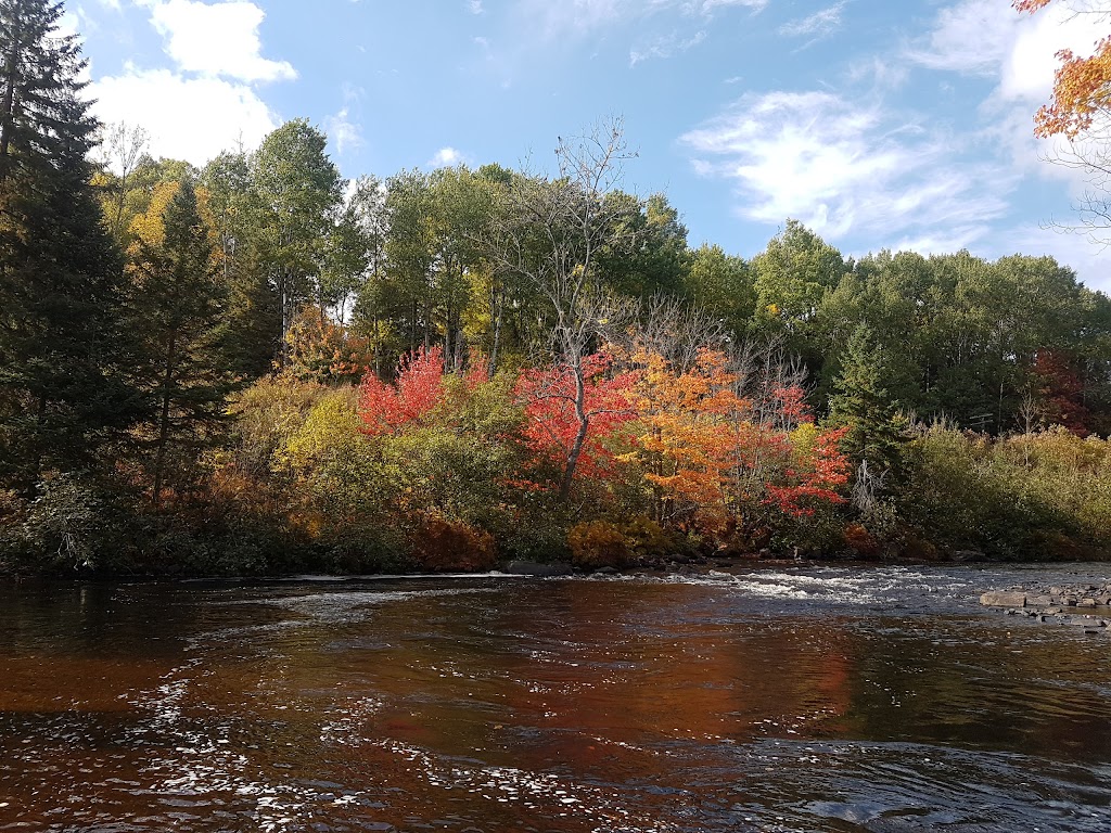 Richard Thomas Memorial Park | 134-, 430 Pickerel & Jack Lake Rd, Burks Falls, ON P0A 1C0, Canada | Phone: (705) 382-3332