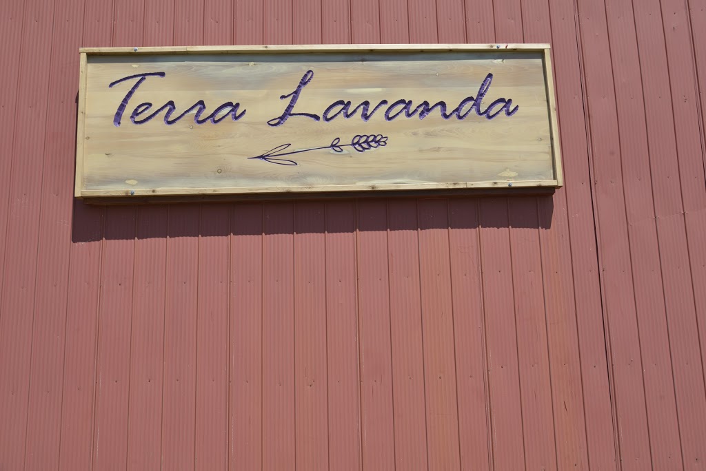 Terra Lavanda | 2873 Dutch Ln, Vineland, ON L0R 2C0, Canada | Phone: (905) 464-4304