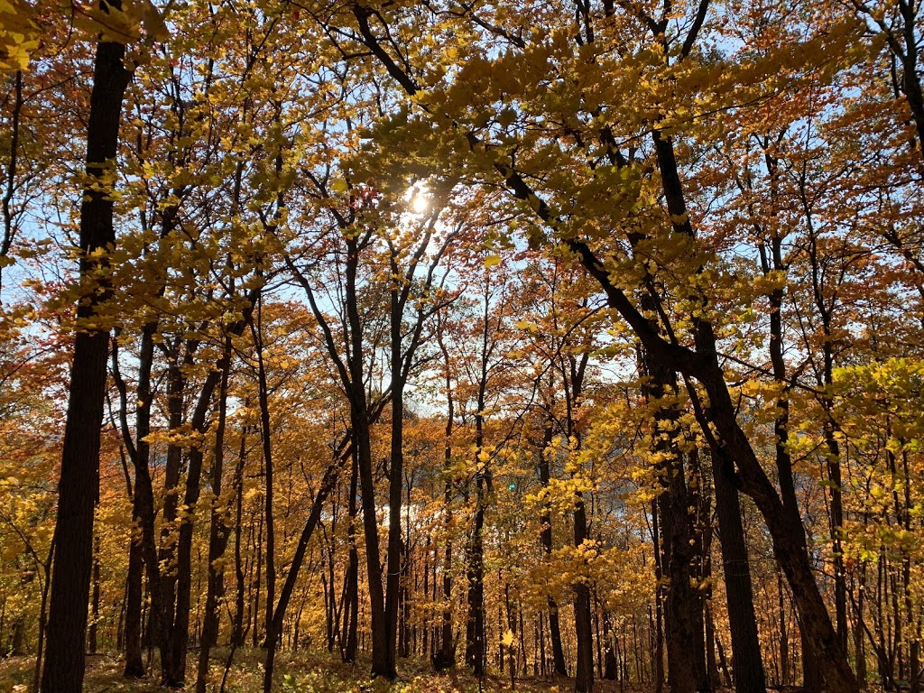 Dorset Lookout Tower | 1191 Dorset Scenic Tower Rd, Dwight, ON P0A 1H0, Canada | Phone: (705) 766-1032