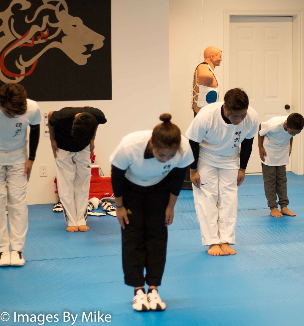 Tyves Taekwondo & training Studio | 37 Sandalwood Cres, St. Davids, ON L0S 1P0, Canada | Phone: (905) 321-9938