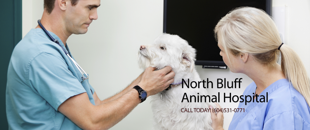 North Bluff Animal Hospital | 13971 16 Ave, Surrey, BC V4A 1P8, Canada | Phone: (604) 531-0771