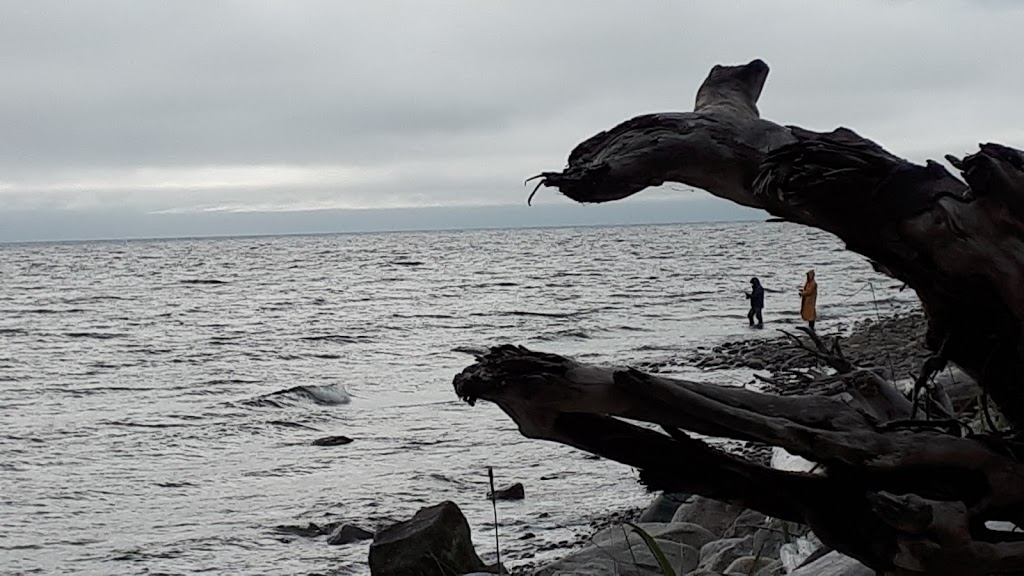 Bonniebrook Beach | Sunshine Coast E, BC, Canada