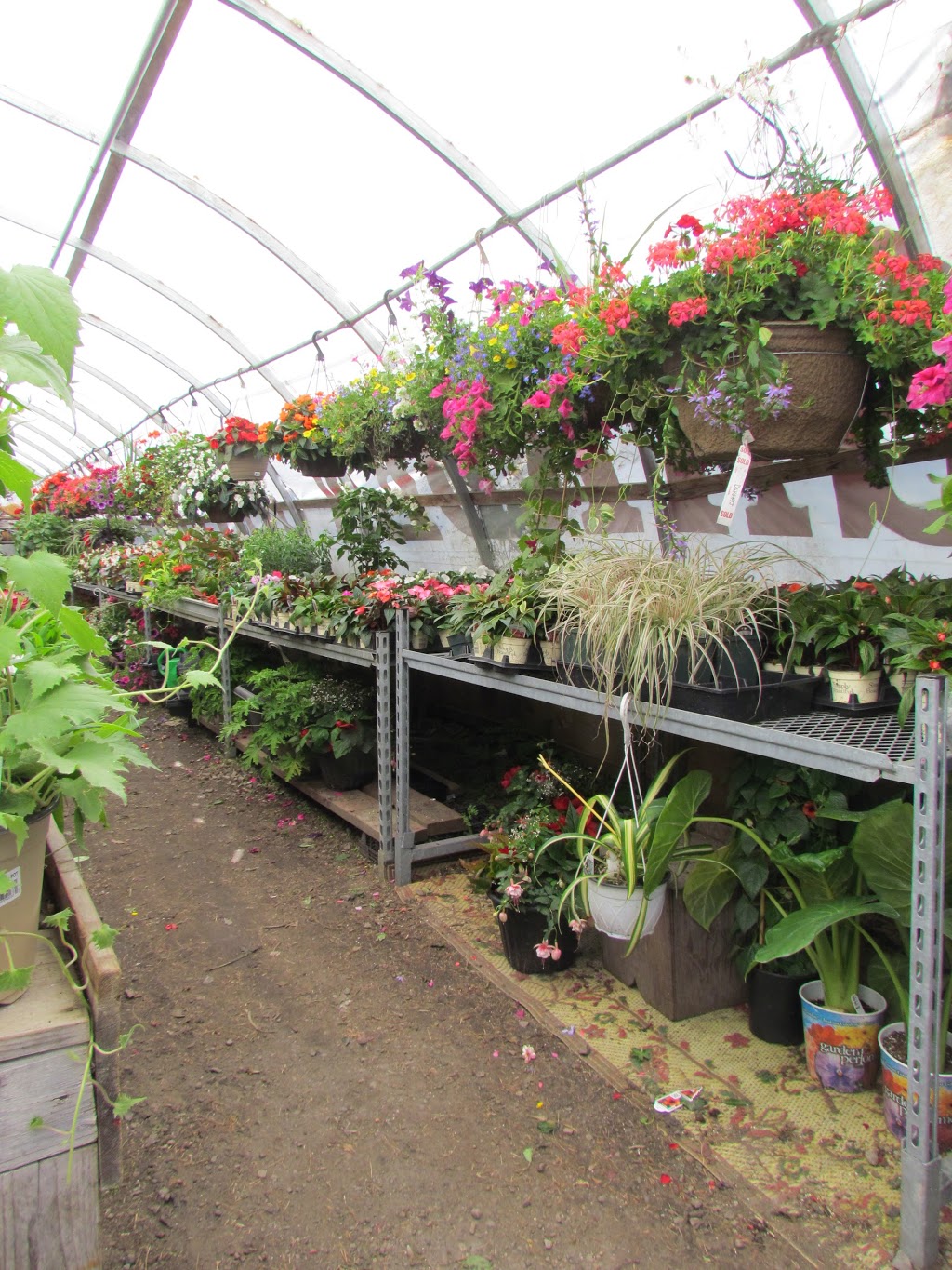 Lake of Bays Garden Centre | 2876 Hwy. #60, Dwight, ON P0A 1H0, Canada | Phone: (705) 635-1696