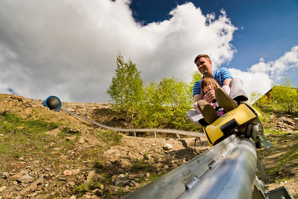 The Pipe Mountain Coaster | 2950 Camozzi Rd, Revelstoke, BC V0E 2S1, Canada | Phone: (866) 373-4754