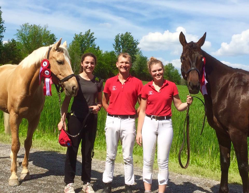 Centaur Riding School | 3845 Frank Kenny Rd, Navan, ON K4B 1H9, Canada | Phone: (613) 835-2237