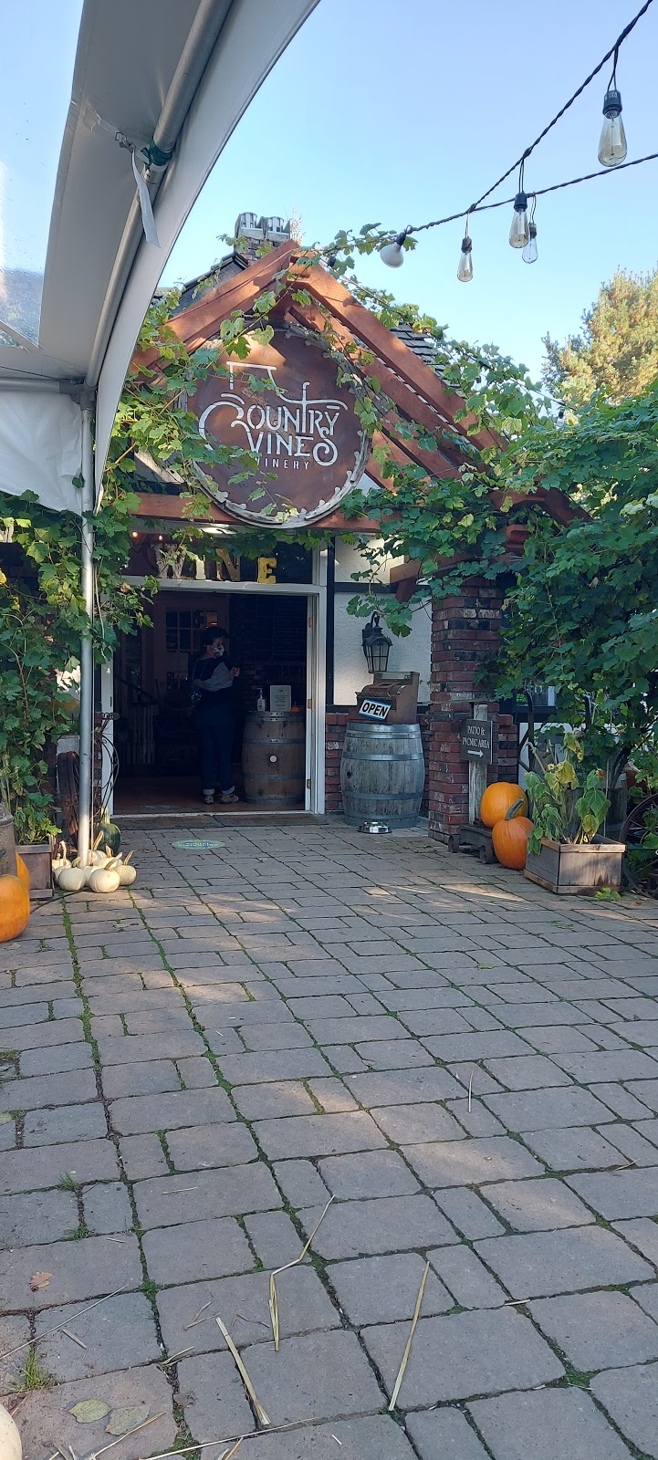 The Pumpkin Patch at Richmond Country Farms | 12900 Steveston Hwy, Richmond, BC V6W 1A3, Canada | Phone: (604) 274-0522