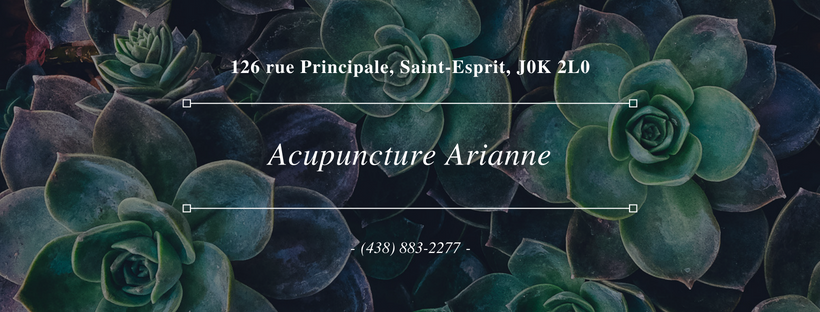 Acupuncture Arianne | 126 Rue Principale, Saint-Esprit, QC J0K 2L0, Canada | Phone: (438) 883-2277