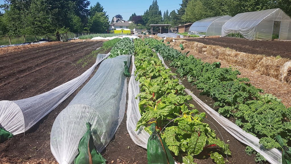 Loutet Farm | 1400 Rufus Ave, North Vancouver, BC V7L 4J2, Canada | Phone: (604) 987-8138