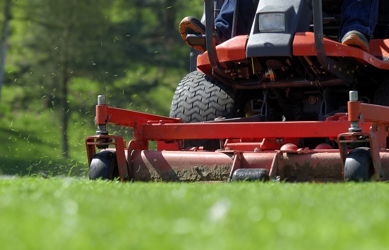 Green Cuts Pool and Lawn Care | 47 Ruijs Blvd, Brantford, ON N3T 0E2, Canada | Phone: (226) 583-0510