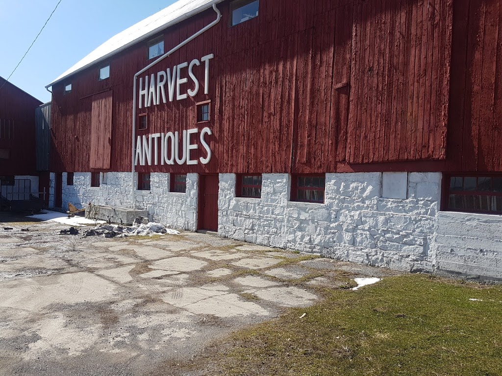 Harvest Antiques | 1546 Taunton Rd, Hampton, ON L0B 1J0, Canada | Phone: (905) 427-9670