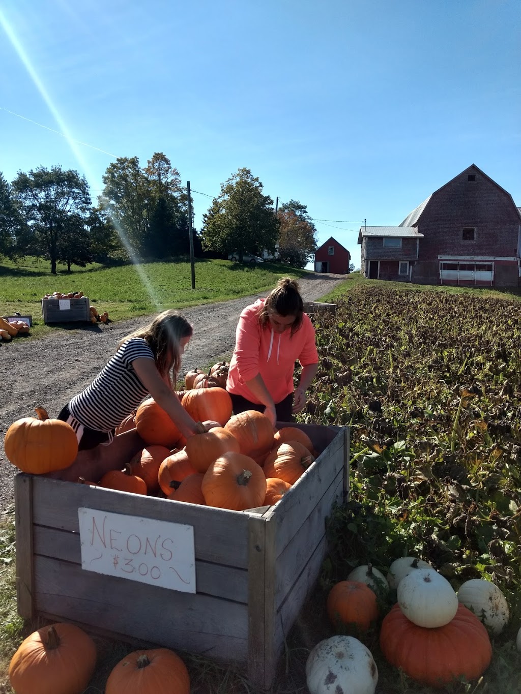 Eureka Farms Ltd | 6029 E River West Side Rd, Eureka, NS B0K 1B0, Canada | Phone: (902) 923-2011