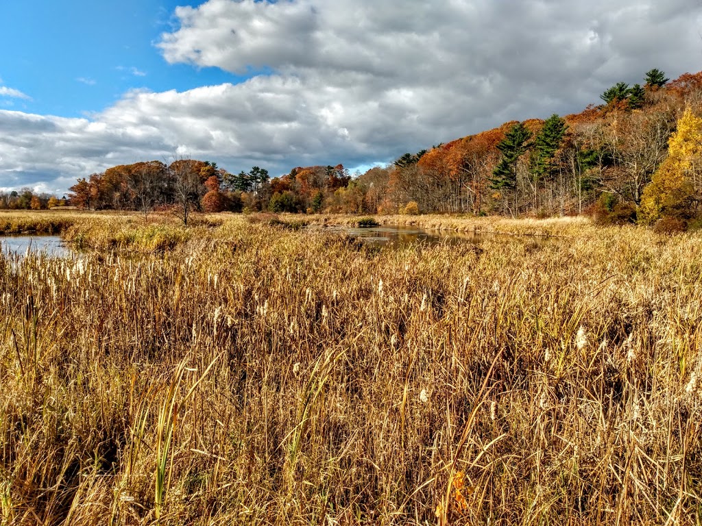 Miners Marsh | Barclay St, Kentville, NS B4N 1H1, Canada | Phone: (902) 679-2500