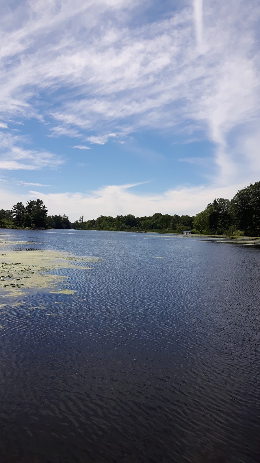 Sydenham Lake Boat Ramp | 4921 Wilmer Rd, Perth Road, ON K0H 2L0, Canada | Phone: (613) 546-4228