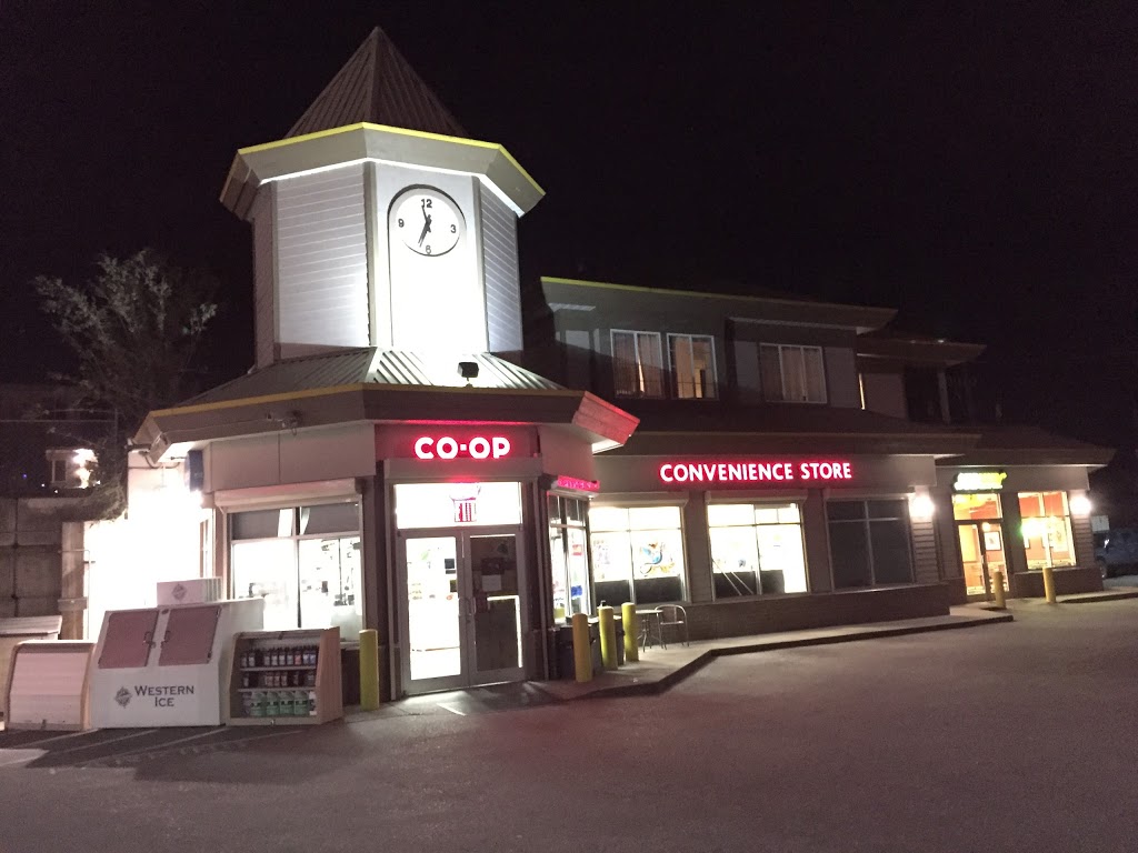 Co-op, Hatzic Gas Bar | 34981 Lougheed Hwy, Mission, BC V2V 6T1, Canada | Phone: (604) 826-6421