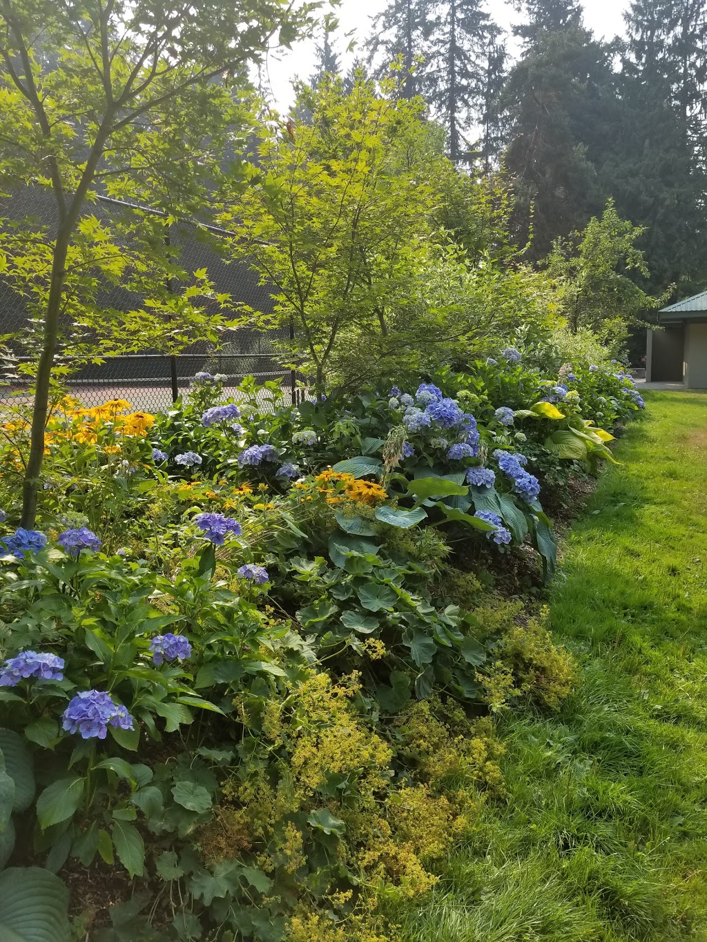 Princess Park Parking | North Vancouver, BC V7K 1G7, Canada