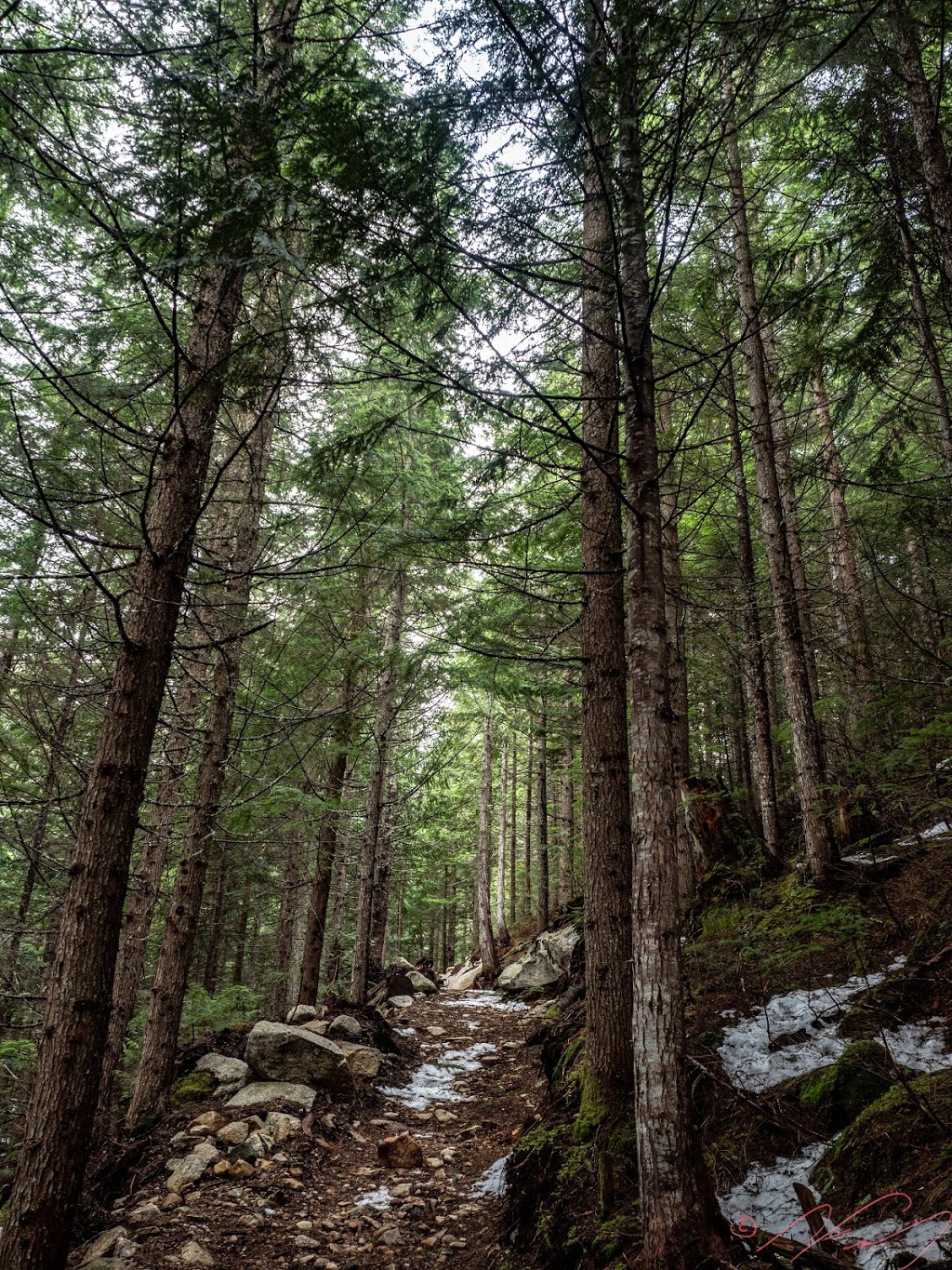 Shannon Basin Loop Trail | Lookback Trail, Britannia Beach, BC V0N 1J0, Canada