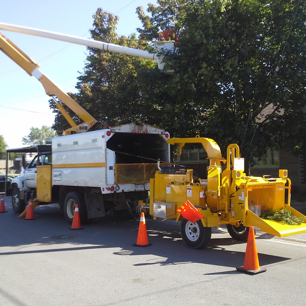 Ashton Line Clearing & Tree Service | Ashton, Ottawa, ON K7C 3P3, Canada | Phone: (613) 257-5612