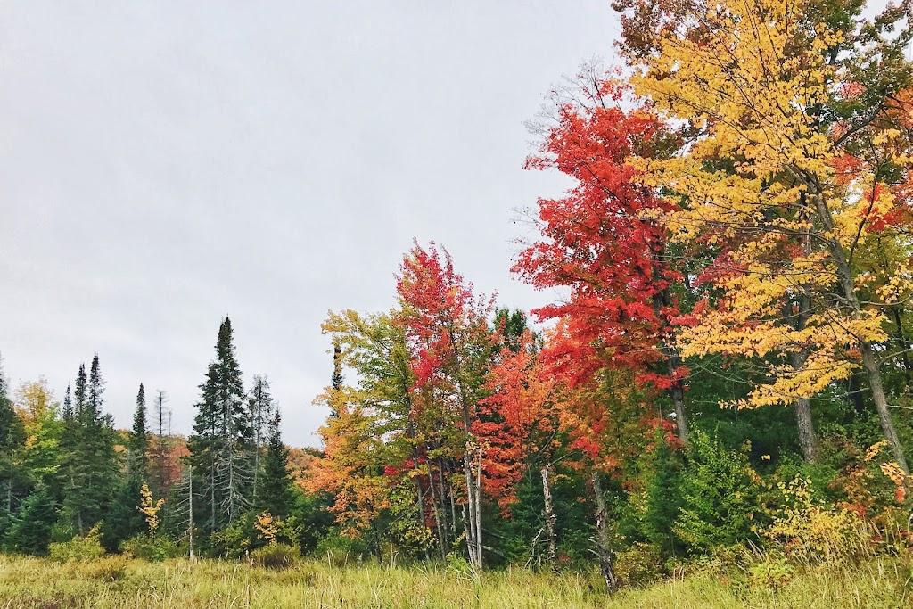 Fortune Lake | Prom. du Lac-Fortune, Chelsea, QC J9B 2N3, Canada | Phone: (613) 239-5000