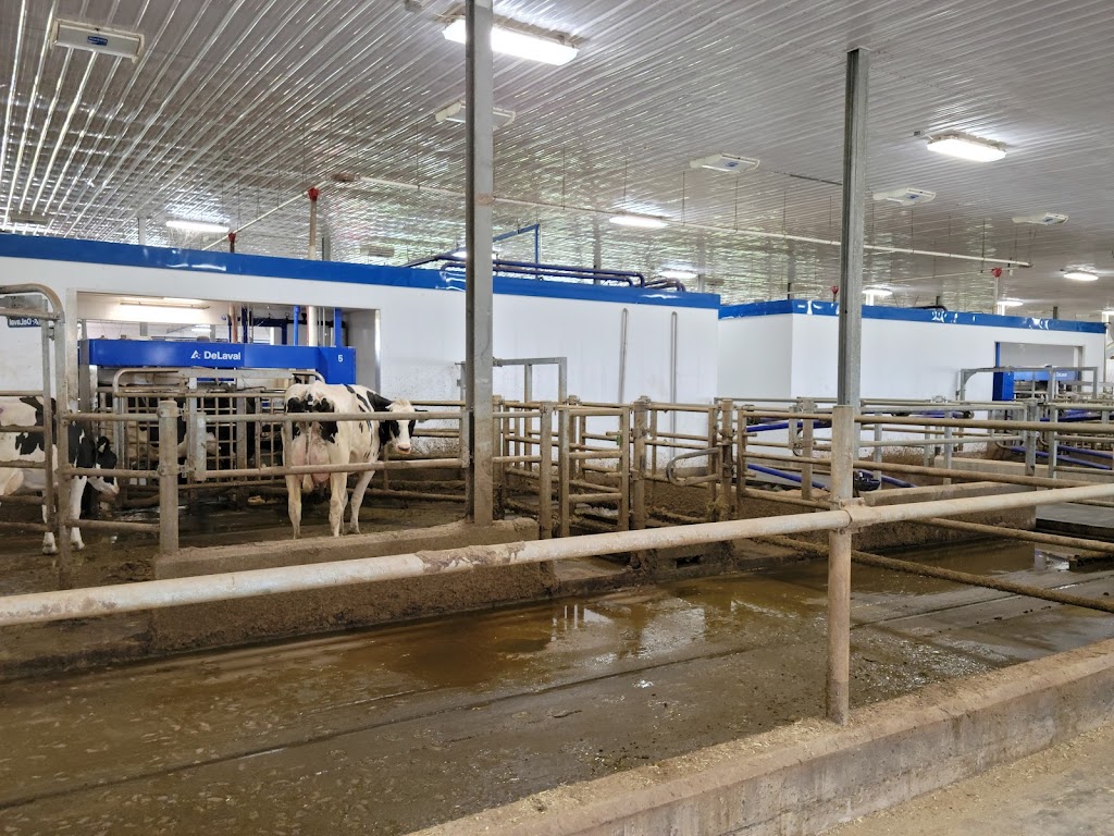 Bokma Farms | 40 Crombe Rd, Shubenacadie, NS B0N 2H0, Canada | Phone: (902) 751-0003