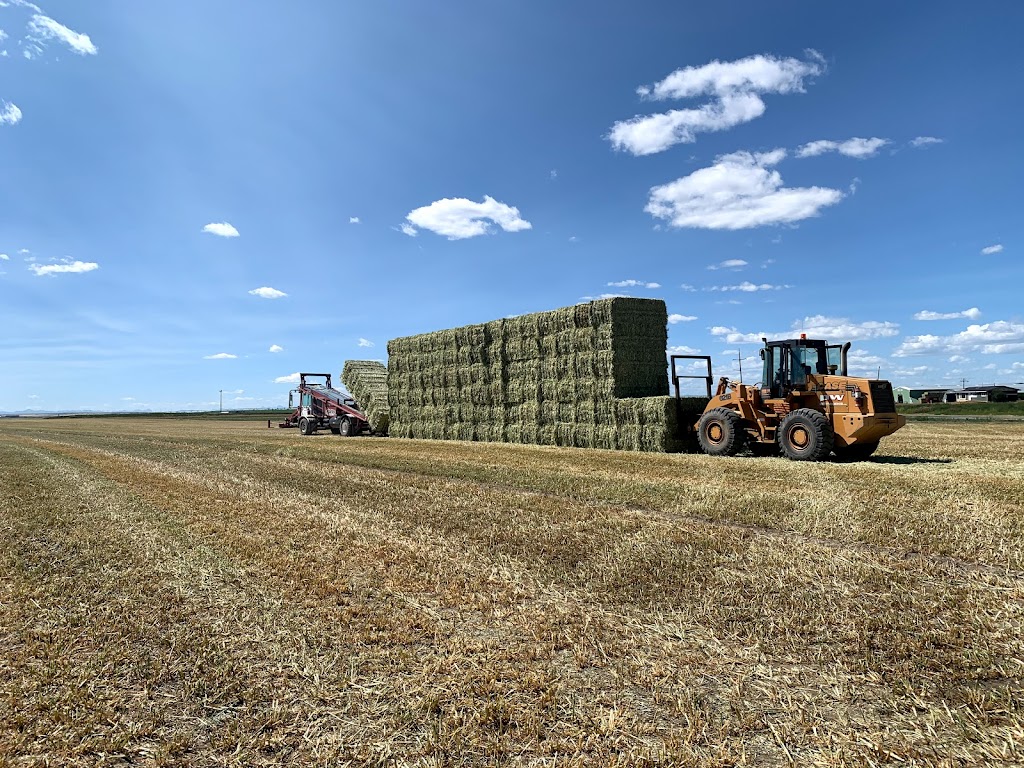 Boot Hay Farms Ltd | 85034 RR245, Monarch, AB T0L 1M0, Canada | Phone: (403) 330-3027