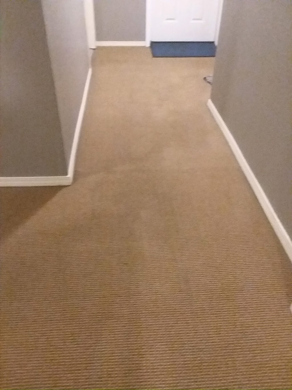 Prime Carpet Cleaning | 6 Sugarpine Place, Bellingham, WA 98229, USA | Phone: (360) 595-3750