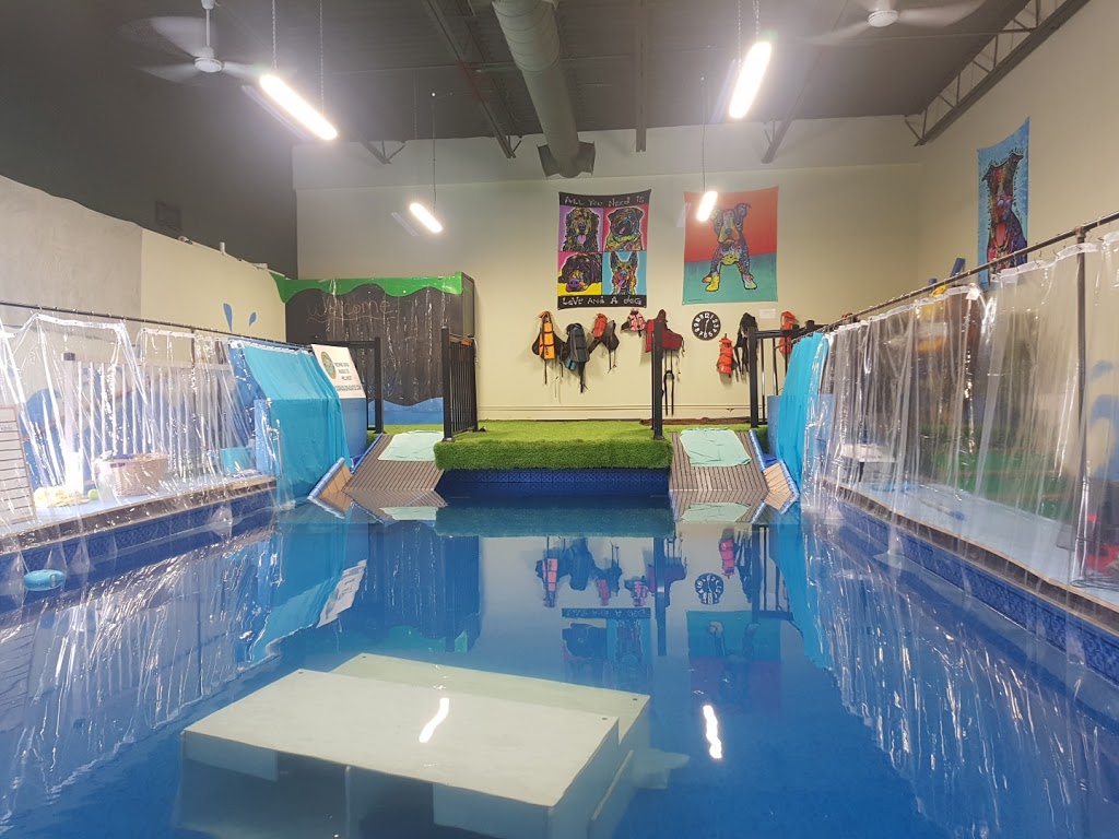 Dog Paddle K9 Aquatics | 3280 Hwy 7, Pickering, ON L1Y 1C8, Canada | Phone: (905) 655-5577