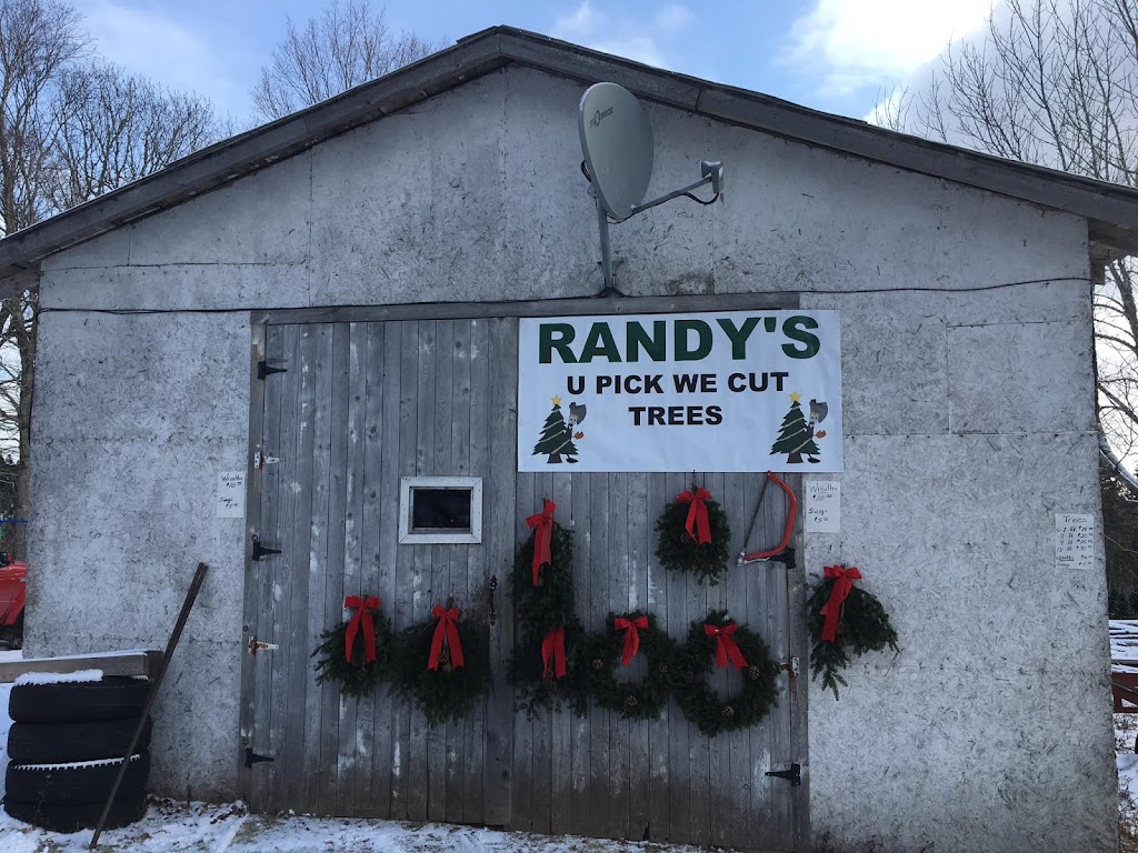 Randys U-Pick Christmas Trees | 148 Aylesford Rd, Springfield, NS B0R 1H0, Canada | Phone: (902) 547-2230