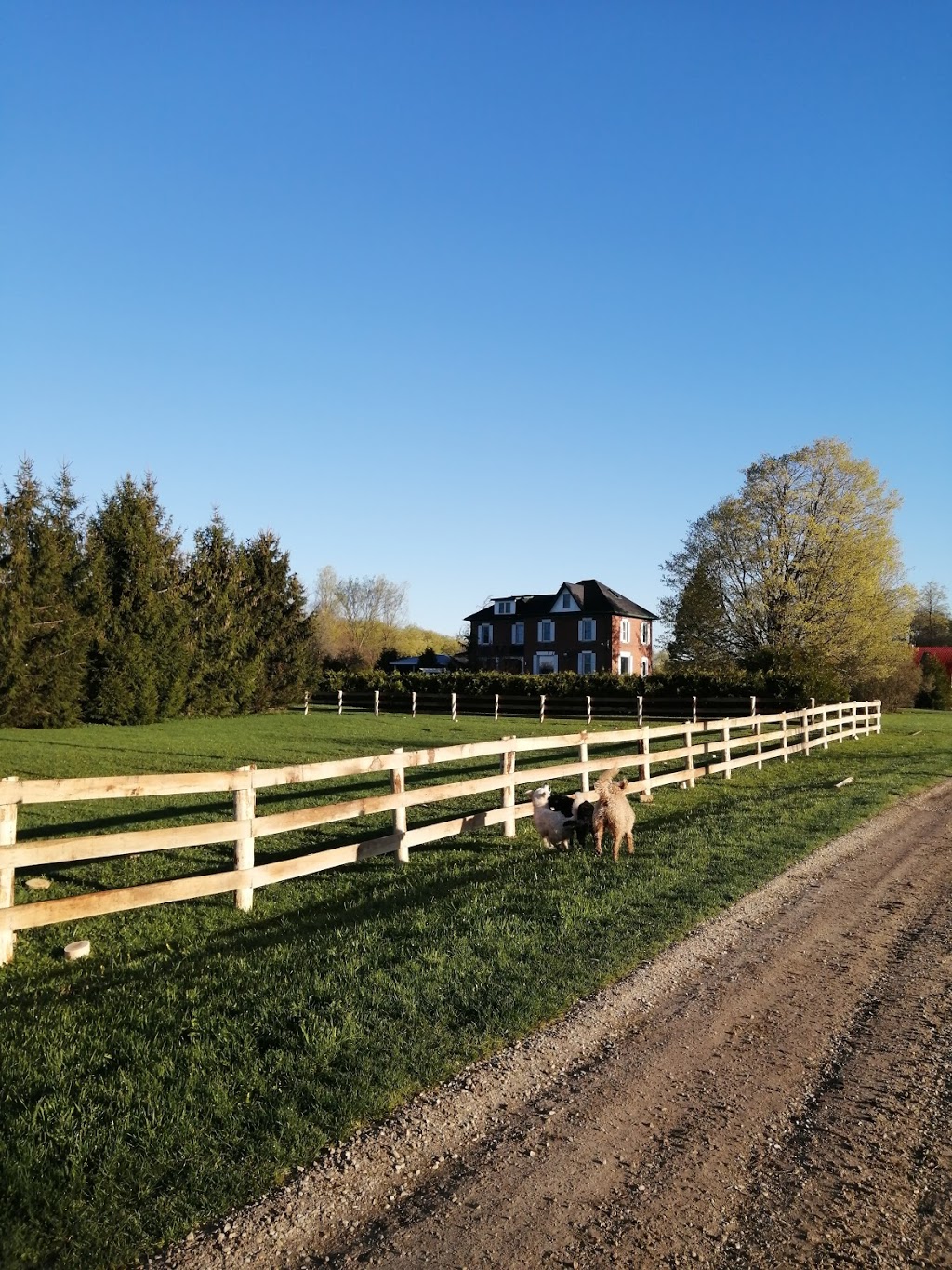 Gloucester Woods Horse Boarding | 845205 Deviation Rd, Meaford, ON N4L 1W5, Canada | Phone: (905) 465-5845