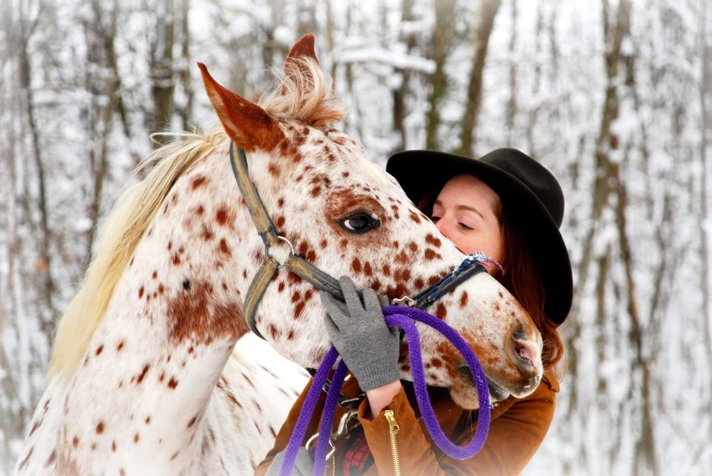 Lucky Harvest | 1900 QC-202, Hinchinbrooke, QC J0S 1A0, Canada | Phone: (450) 264-0282