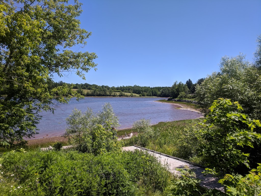 Tatamagouche Farmers Market | 41 Creamery Rd, Tatamagouche, NS B0K 1V0, Canada | Phone: (902) 664-4237