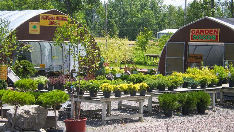 Lincoln Park Nursery | 5705 Shawnee Rd, Sanborn, NY 14132, USA | Phone: (716) 692-6100