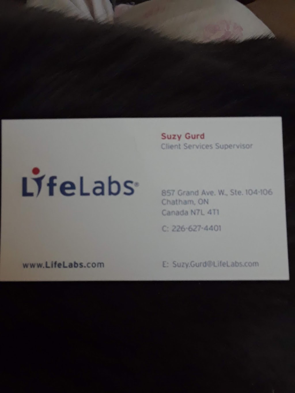 LifeLabs Medical Laboratory Services | 30 McNaughton Ave Unit #6, Wallaceburg, ON N8A 1R9, Canada | Phone: (877) 849-3637