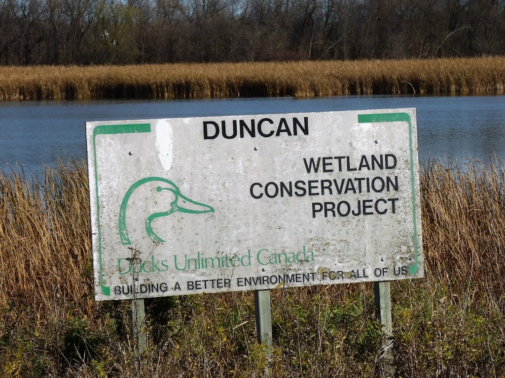 Duncan Wetland Conservation Project | 1379 Breezy Point Rd, Clandeboye, MB R0C 0P0, Canada | Phone: (800) 665-3825