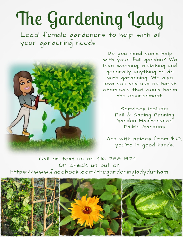 The Gardening Lady | 37 Brookdale Crescent, Whitby, ON L1P 1J4, Canada | Phone: (416) 788-1974