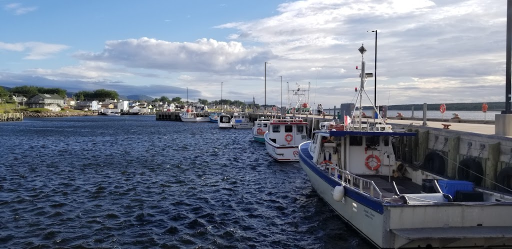 Dawn Treader Tuna Charters | Box 1302, Chéticamp, NS B0E 1H0, Canada | Phone: (902) 478-3775